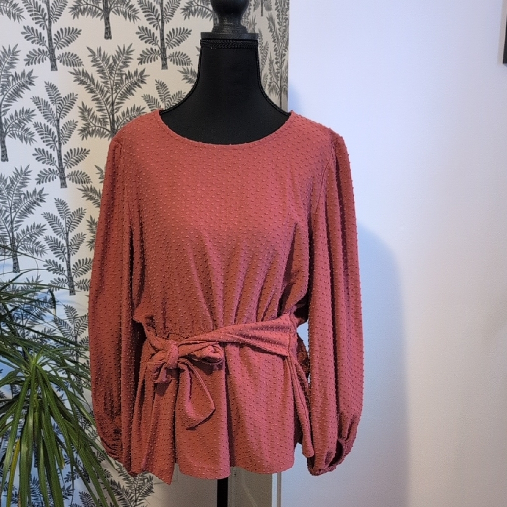 Ava James Swiss Dot Rust Women's Top